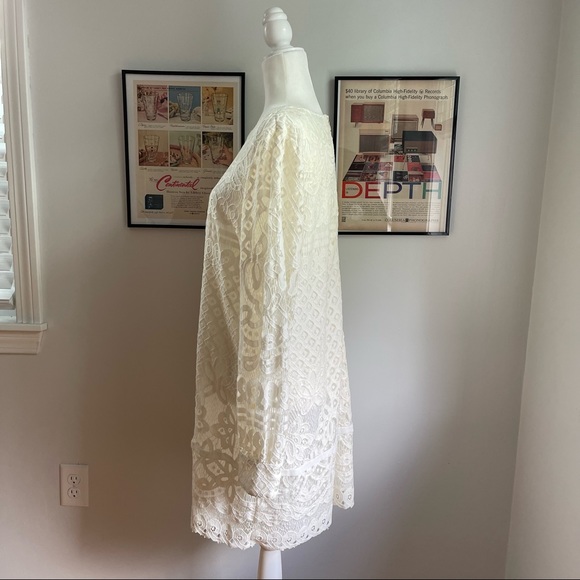 Modcloth Lace & Mesh Dress - Picture 3 of 11